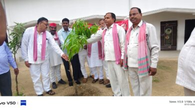 अखिलेश यादव के जन्मदिन पर सपा का वृक्षारोपण अभियान
