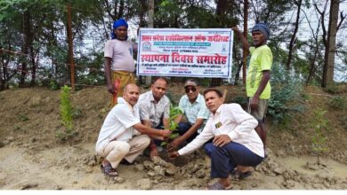 अम्बेडकरनगर की कसदहा गौशाला में उपज स्थापना दिवस पर गोसेवा और पौधरोपण करते सदस्य।