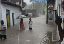 राजगढ़ में नाले में बही ईको वैन