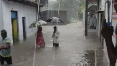 राजगढ़ में नाले में बही ईको वैन