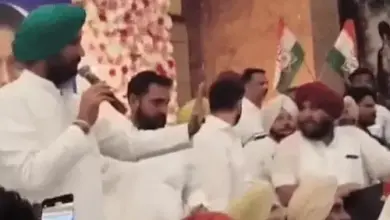 आवारा पशुओं से होने वाले हादसों पर सख्त टिप्पणी करते हुए सुप्रीम कोर्ट का प्रतीकात्मक दृश्य।