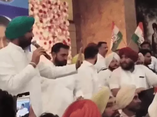 आवारा पशुओं से होने वाले हादसों पर सख्त टिप्पणी करते हुए सुप्रीम कोर्ट का प्रतीकात्मक दृश्य।