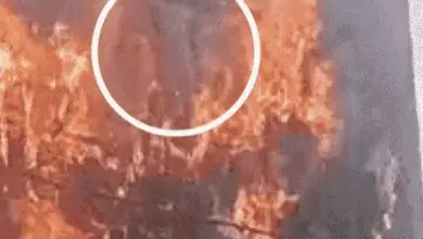 लखनऊ के अलीगंज अग्निकांड और सुप्रीम कोर्ट की सुनवाई से जुड़ा सांकेतिक चित्र।