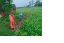 अंबेडकरनगर जलालपुर में खेत की मेड़ बहाल कराता राजस्व विभाग