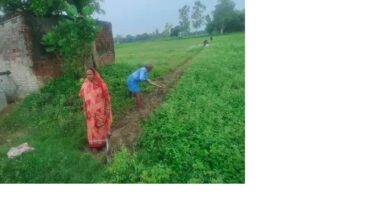अंबेडकरनगर जलालपुर में खेत की मेड़ बहाल कराता राजस्व विभाग