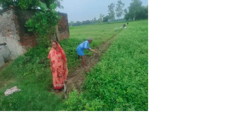 अंबेडकरनगर जलालपुर में खेत की मेड़ बहाल कराता राजस्व विभाग