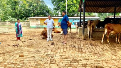 बसहिया गांव की गौशाला का निरीक्षण करते अधिकारी