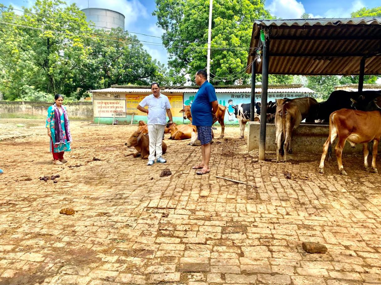 बसहिया गांव की गौशाला का निरीक्षण करते अधिकारी
