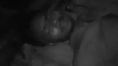 भिंड में ट्रक और पिकअप की भीषण सड़क दुर्घटना