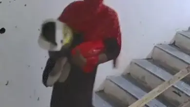 ग्रेटर नोएडा सोसाइटी में सलवार-सूट पहनकर चोरी करता संदिग्ध
