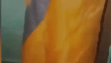 जालंधर के स्कूल परिसर में जांच करती पंजाब पुलिस और सुरक्षा व्यवस्था का दृश्य।