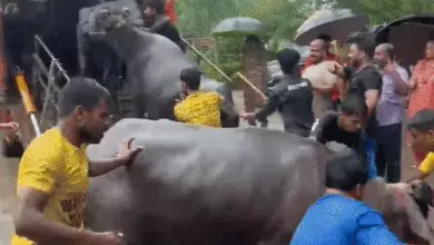 पारा में नगर निगम और पुलिस की संयुक्त कार्रवाई