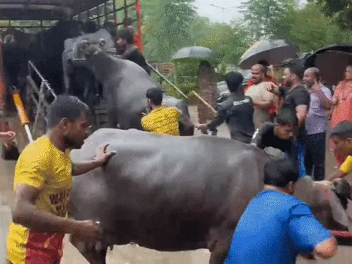 पारा में नगर निगम और पुलिस की संयुक्त कार्रवाई
