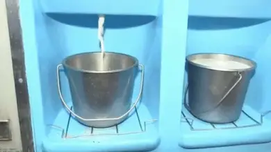 मुंबई में बढ़ी दूध की कीमत, 1 सितंबर से ₹102 प्रति लीटर होगा थोक दूध