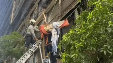मुंबई में 10वीं मंजिल से गिरकर पेड़ में फंसी नवविवाहिता का रेस्क्यू