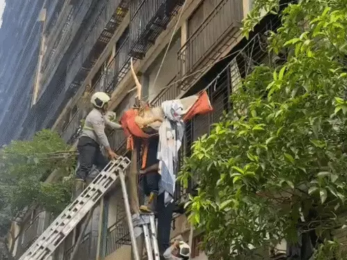 मुंबई में 10वीं मंजिल से गिरकर पेड़ में फंसी नवविवाहिता का रेस्क्यू