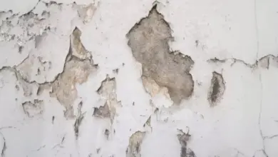 बारिश के मौसम में घर और प्रॉपर्टी