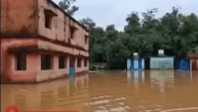 प्रयागराज की कॉलोनी में बाढ़ के पानी में डूबी कारें और सड़कें