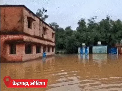 प्रयागराज की कॉलोनी में बाढ़ के पानी में डूबी कारें और सड़कें