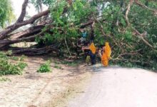अंबेडकरनगर में आंधी-बारिश के बाद टूटे बिजली पोल और क्षतिग्रस्त तारों की मरम्मत करते कर्मचारी।