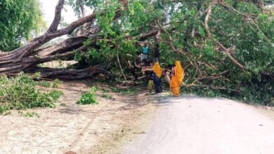 अंबेडकरनगर में आंधी-बारिश के बाद टूटे बिजली पोल और क्षतिग्रस्त तारों की मरम्मत करते कर्मचारी।