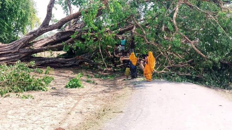अंबेडकरनगर में आंधी-बारिश के बाद टूटे बिजली पोल और क्षतिग्रस्त तारों की मरम्मत करते कर्मचारी।