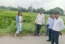 अंबेडकरनगर में बारिश से प्रभावित फसलों का निरीक्षण करते अधिकारी