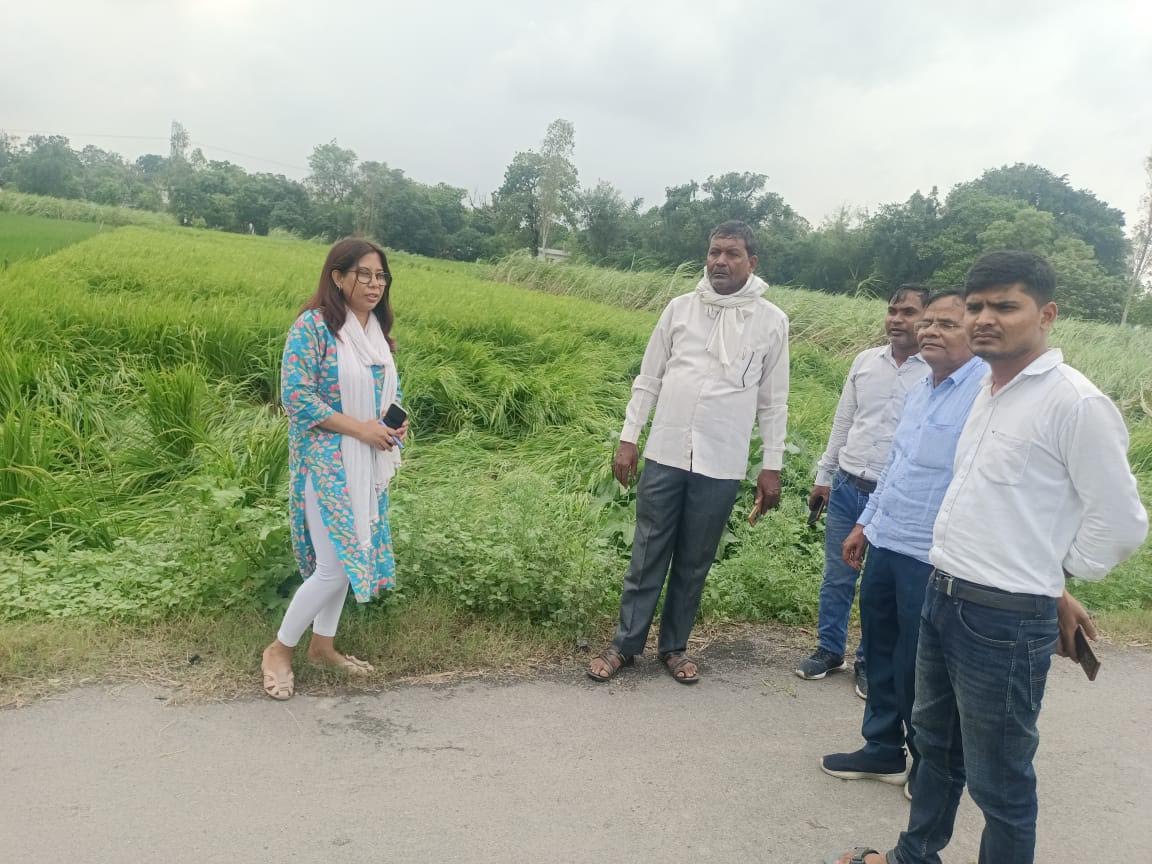 अंबेडकरनगर में बारिश से प्रभावित फसलों का निरीक्षण करते अधिकारी