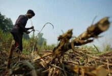 अंबेडकरनगर में केसीसी बकायेदार किसानों के नाम सार्वजनिक करने का मामला