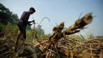 अंबेडकरनगर में केसीसी बकायेदार किसानों के नाम सार्वजनिक करने का मामला