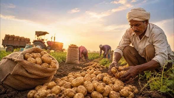 अंबेडकरनगर में निजी शीतगृह में आलू भंडारण कराने वाले किसान।
