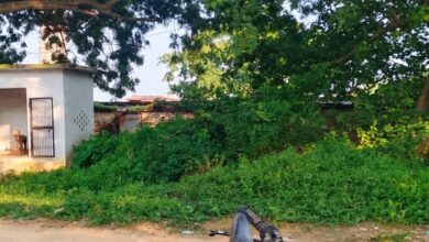 चांडीपुर कला गांव में देवस्थान और खेल मैदान की जमीन पर कथित अतिक्रमण का मामला।