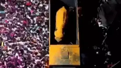 कोल्हापुर के नांदणी जैन मठ पहुंची हथिनी महादेवी का स्वागत करते हजारों लोग।