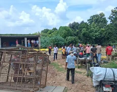 जलालपुर में अस्थायी मछली मंडी