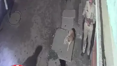 लखनऊ के चिनहट में हेड कांस्टेबल पर डंडे से हमले के मामले में जांच करती पुलिस।
