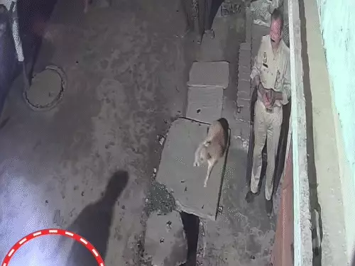 लखनऊ के चिनहट में हेड कांस्टेबल पर डंडे से हमले के मामले में जांच करती पुलिस।