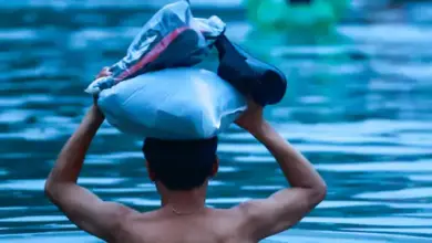 बैंकॉक की जलमग्न सड़क पर बाढ़ के पानी में फंसी गाड़ियां।