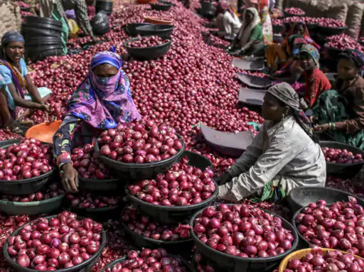 मंडी में रखे प्याज और बढ़ती प्याज की कीमतों का प्रतीकात्मक दृश्य।