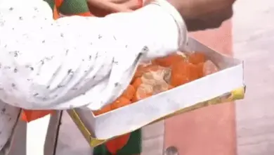 प्रधानमंत्री नरेंद्र मोदी के जन्मदिन पर सेवा संकल्प अभियान और वडनगर-वाराणसी बाइक यात्रा