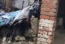रहीमाबाद के भतोइया गांव में बारिश से ढहे कच्चे मकान का दृश्य।