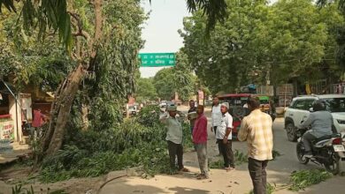 अकबरपुर में 11 केवी बिजली लाइन के आसपास ट्री कटिंग करते विद्युत कर्मचारी