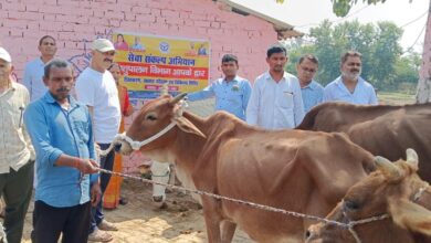 अंबेडकरनगर में सेवा संकल्प अभियान के तहत परिवारों को वितरित किए गए गोवंश।