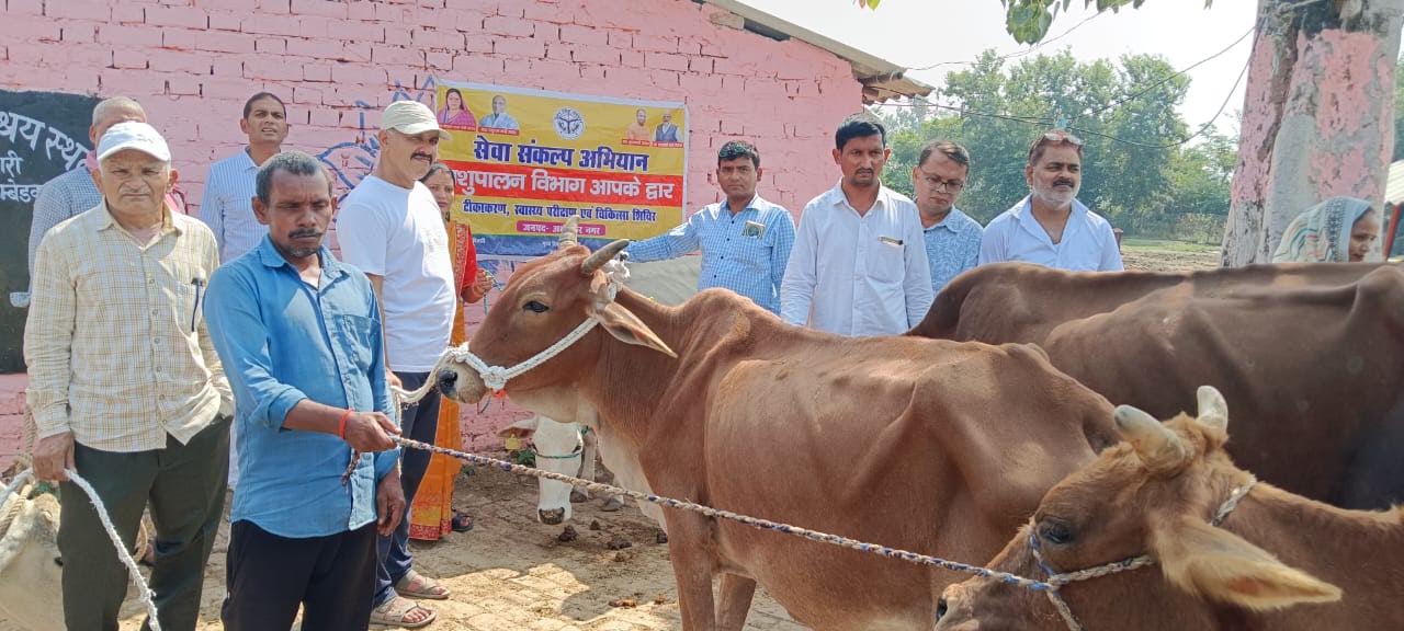 अंबेडकरनगर में सेवा संकल्प अभियान के तहत परिवारों को वितरित किए गए गोवंश।