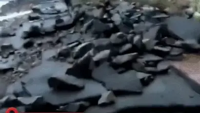 चक्रवात अर्नब के बाद आंध्र प्रदेश के तटीय इलाकों में जलभराव और तेज हवाओं से हुई तबाही।