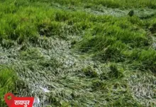 चक्रवाती तूफान अर्नब के बाद ओडिशा में बाढ़ और देश के कई राज्यों में बारिश का अलर्ट।