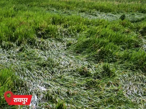 चक्रवाती तूफान अर्नब के बाद ओडिशा में बाढ़ और देश के कई राज्यों में बारिश का अलर्ट।