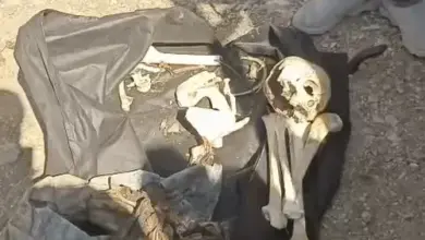 देहरादून के किमाड़ी जंगल में तीन महीने से लापता बीएससी छात्र मोहम्मद शारिक के कंकाल मिलने से जुड़ा मामला।