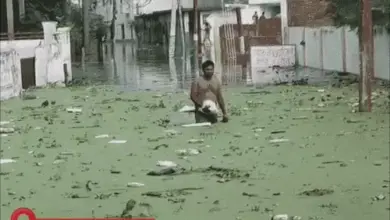 उत्तर भारत में ठंडक, मध्य भारत में उमस और बिहार में बारिश के अलर्ट से जुड़ी मौसम की खबर