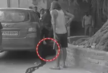 - लखनऊ के नौबस्ता इलाके में विवाद के बाद तीन लोगों की गोली मारकर हत्या से जुड़ी घटनास्थल की तस्वीर।