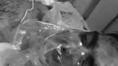 फ्लाईदुबई के भारतीय कैप्टन स्मित मच्छर, जिन पर उड़ान के दौरान को-पायलट ने हमला किया।